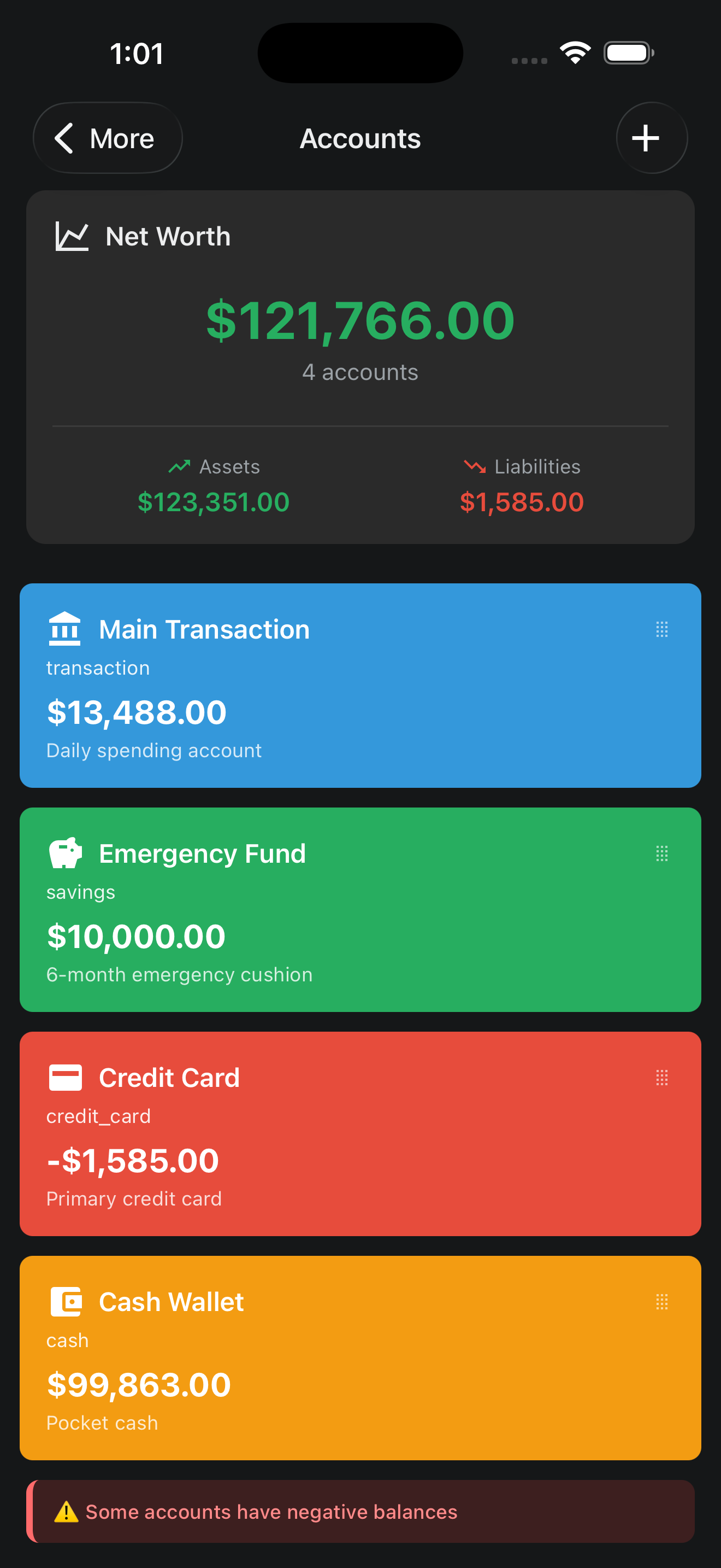 Accounts overview showing net worth, assets, and liabilities